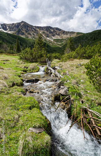 a stream in the austrian alps