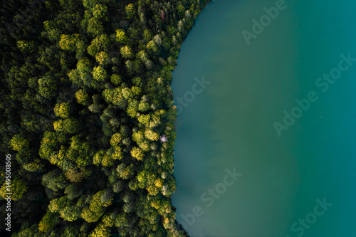 aerial view of forest