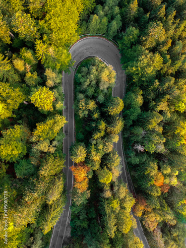 aerial view of winding road 