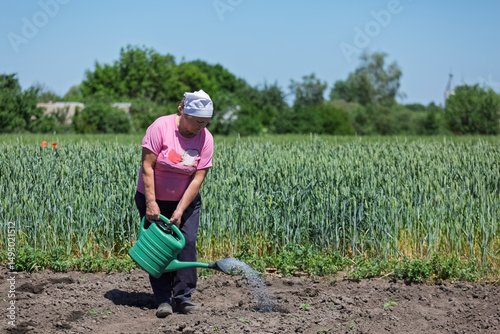 Concept farm, agrocomplex. A female farmer waters young shoots of agricultural crops by hand on her farm