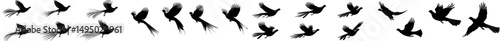 Contemporary outlines of ring-necked pheasants with rooster characteristics in flight