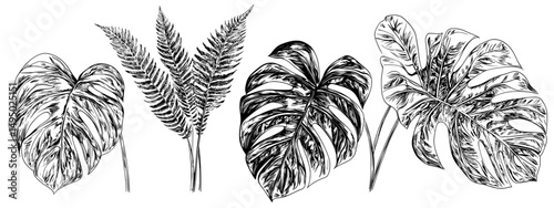 Modern elements and a botanical illustration of Hawaiian plants and tropical leaves are set on a white background