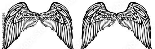 Modern tattoo style illustration of bird wings, crafted as a unique hand-drawn design element