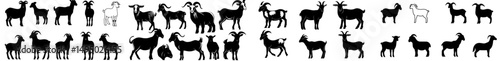 The Goat Modern Illustration Collection features stylish modern illustrations of goat silhouettes set against a white background, forming a stunning black and white collection of various goat