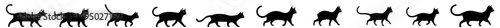Modern border featuring a simple cat silhouette, a walking kitten frame, and an isolated illustration as a clip art element design