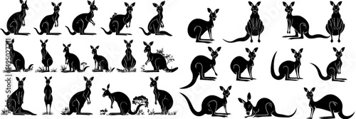 Kangaroo silhouettes in different poses, such as lying, standing, sitting, and jumping, are illustrated in black, accompanied by a Female Kangaroo With Baby icon representing Australia, in