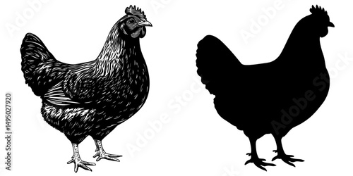 This modern illustration features a chicken silhouette icon in side view, isolated on white, and is well-suited for farm-related designs, agricultural themes, or nature-inspired projects