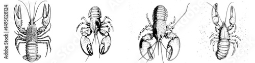 A modern lobster is depicted in a watercolor clipart, set against a plain white background
