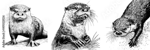 The image features a watercolor otter, presented in isolation on a plain white background with a modern twist