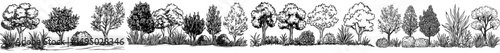 Illustration of a forest scene featuring silhouettes of diverse trees and plants