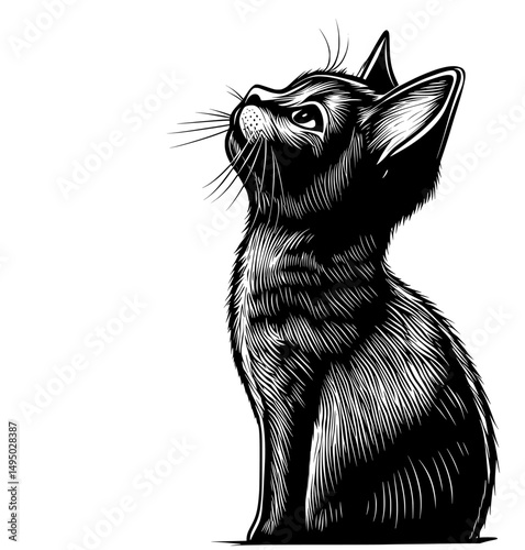 The profile of a black cat is visible against a plain white background