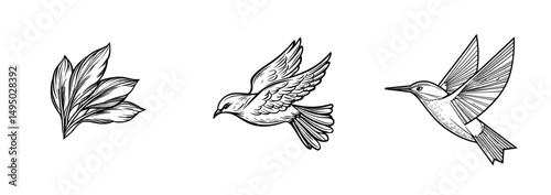 A bird's black silhouette is visible as it flies with its wings outstretched