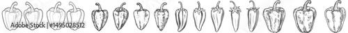 A hand drawn icon set featuring red hot chili peppers and bell peppers in a doodle style is available, along with outline drawings and line clipart symbols