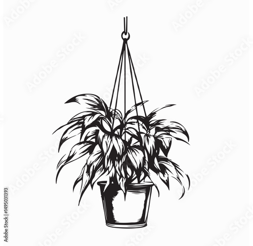 Hanging House Plant Vector. Houseplants In Hanging Pots Vector