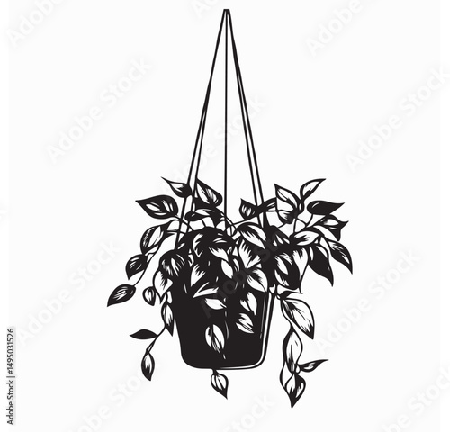 Hanging House Plant Vector. Houseplants In Hanging Pots Vector
