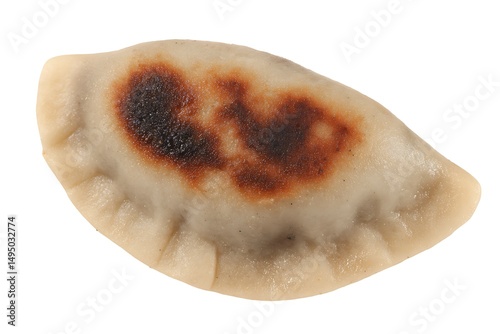 Delicious fried pierogi on a white background