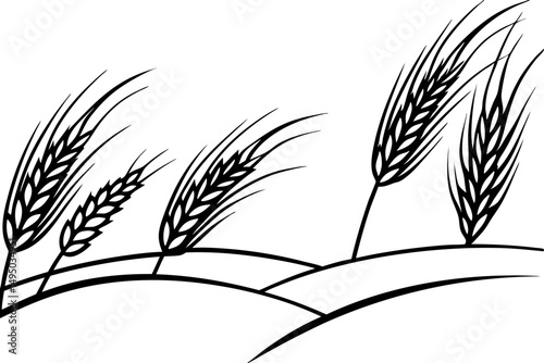 vast wheat field swaying gently in summer breeze vector illustration