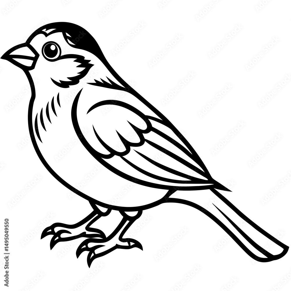 Obraz premium Enchanted Sparrow line art vector