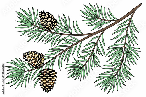 Christmas vector set with green pine branches and cones.
