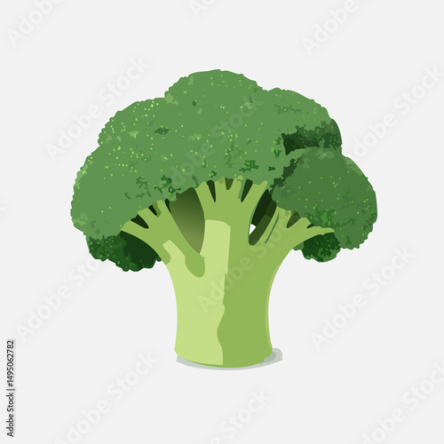 Fresh Broccoli Simple Vector Illustration – Healthy Organic Vegetable Clipart for Food, Nutrition, and Farm Design