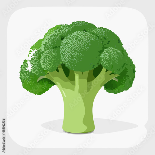 Fresh Broccoli Simple Vector Illustration – Healthy Organic Vegetable Clipart for Food, Nutrition, and Farm Design