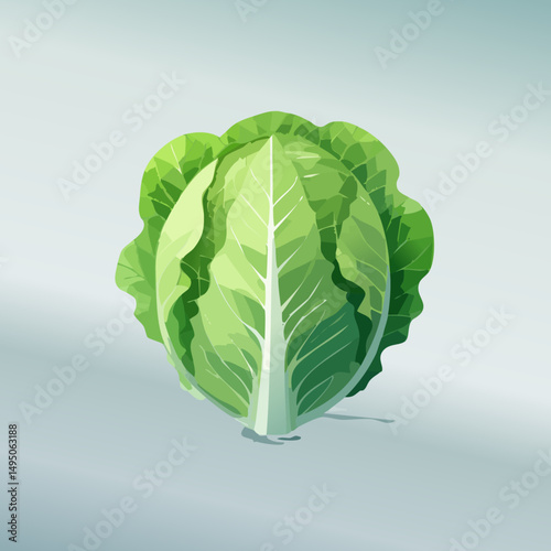 Fresh Green Lettuce Simple Vector Illustration – Organic Vegetable Clip Art for Healthy Food and Farm Design