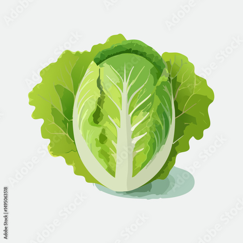 Fresh Green Lettuce Simple Vector Illustration – Organic Vegetable Clip Art for Healthy Food and Farm Design