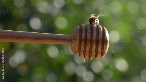 Wooden dipper with honey and wild bees on sunny day against nature background, close up. Healthy eating concept