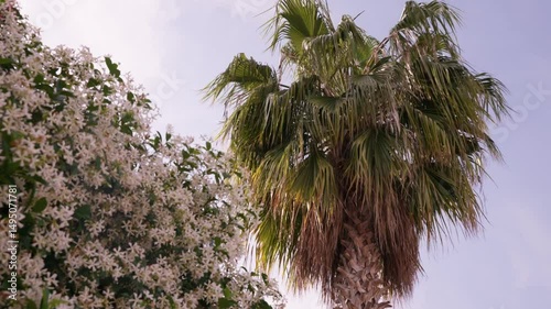 Vibrant palm tree and blooming flowers sway under sunny sky in summer landscape