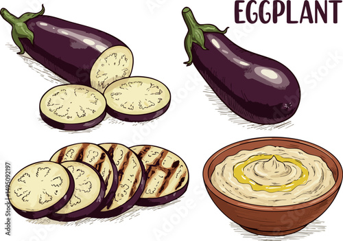 Eggplant vegetable with slices and bowl of dip vector illustration natural food ingredients 