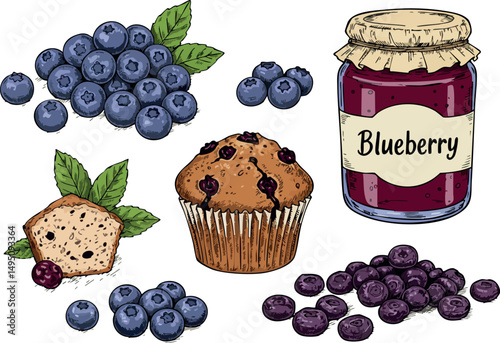 Blueberry fresh fruit muffin jam and berries hand drawn vector illustration 