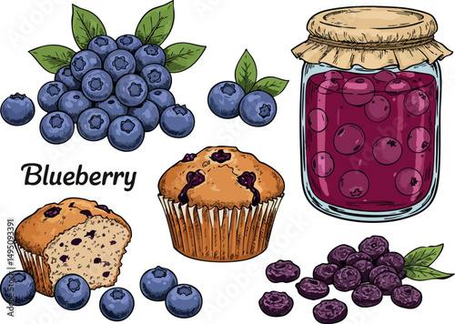 Blueberry fruit muffins jam jar fresh berries vector illustration natural food dessert snack 