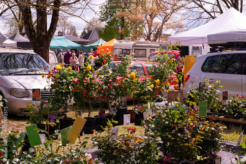 flower market in estonia