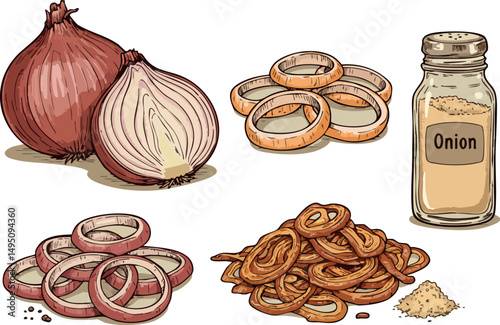 Onion whole sliced rings powder seasoning vegetable cooking ingredient vector illustration 
