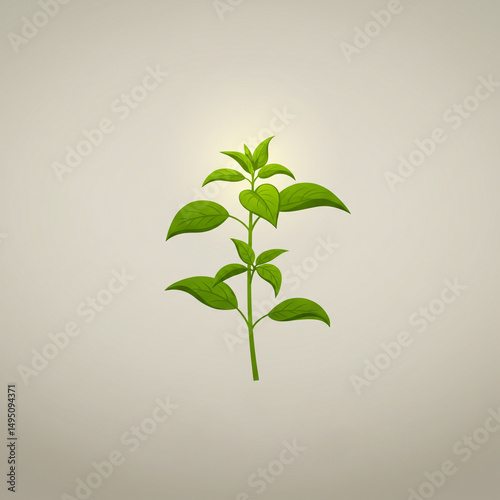 Fresh Green Basil Plant Ill...