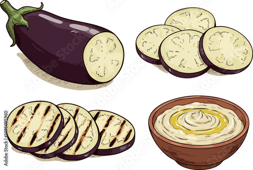 Eggplant vegetable whole sliced grilled and creamy dip vector illustration 