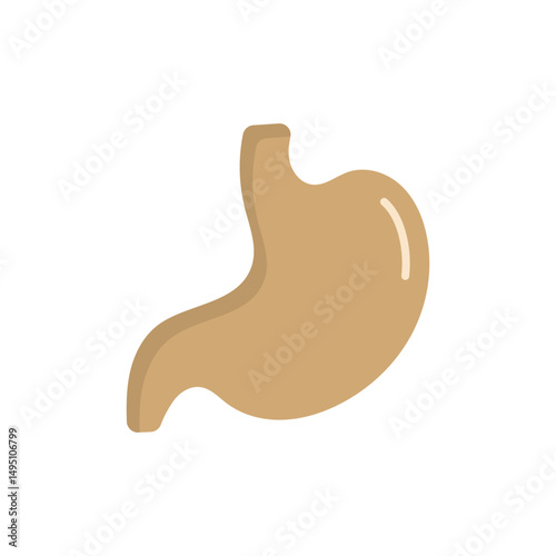Stomach Vector icon