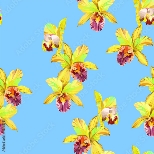Seamless vector pattern. Tropical pattern. Flowers tropics orchid, plumeria, monstera, palm leaf. Exotic pattern, Hawaiian pattern