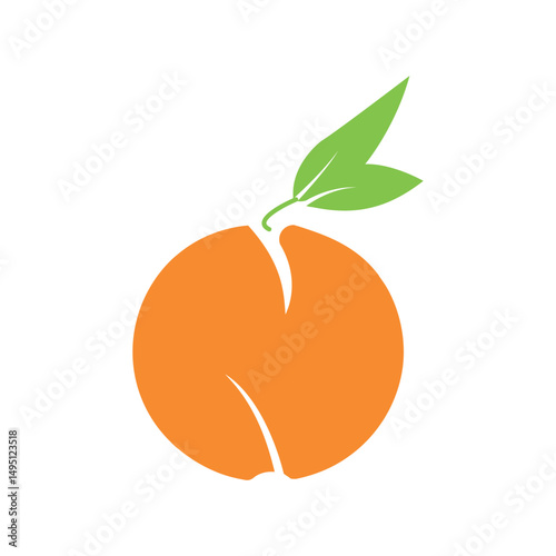 orange fruit vector illustration