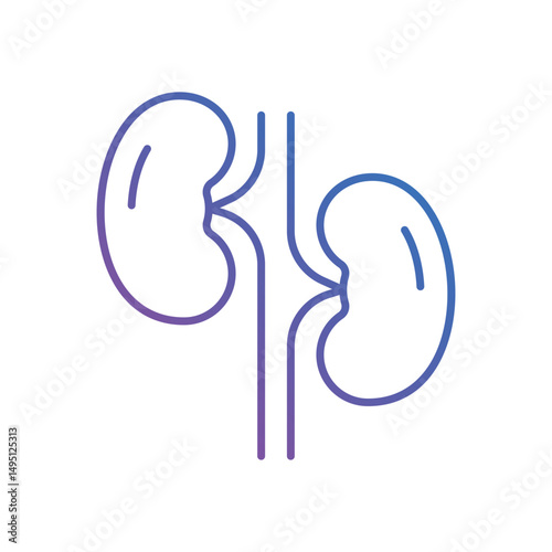 Kidney Vector icon