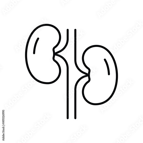 Kidney Vector icon