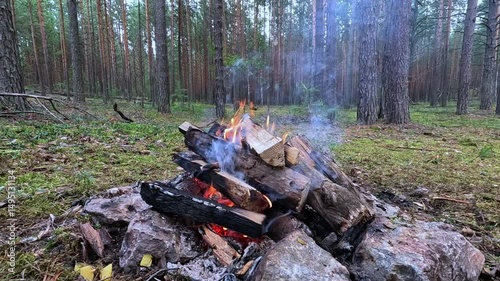 A fire is burning in the forest