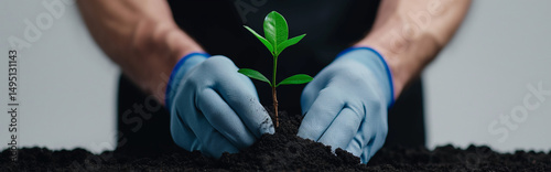 Hands wearing gloves carefully planting a small green seedling into fertile soil for new life