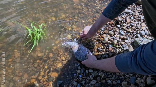 A cook cuts fish outdoors with a knife
