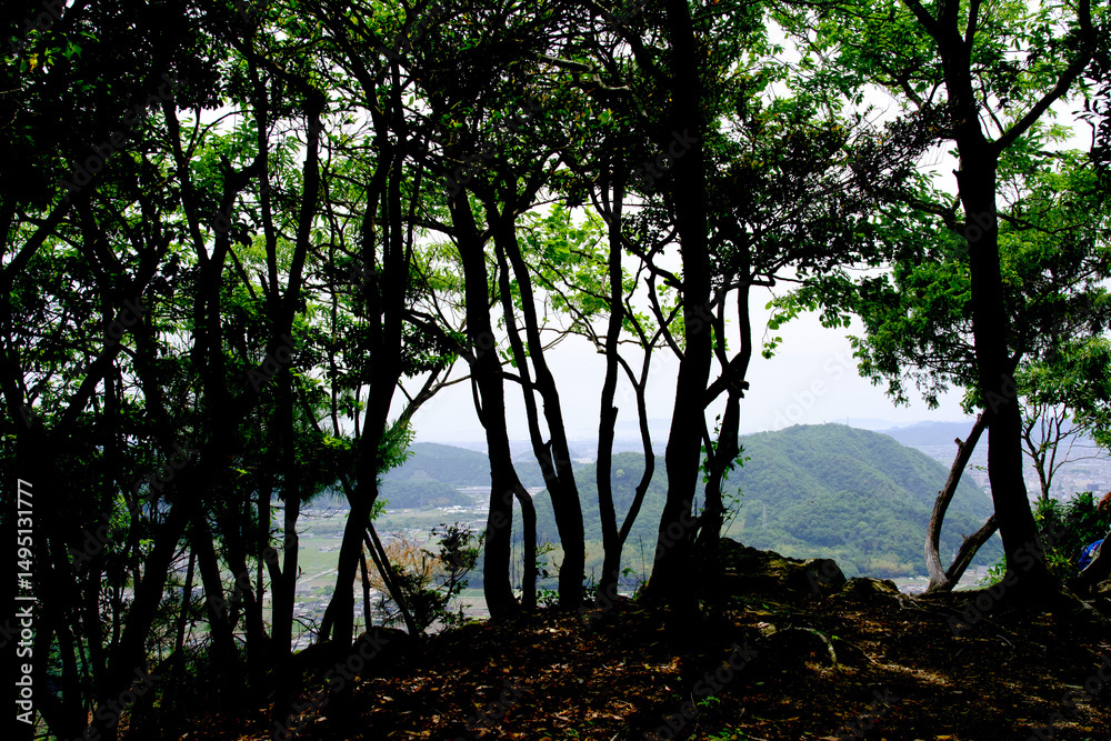 Fototapeta premium 兵庫県・たつの市屏風岩、鶴觜山の山頂から