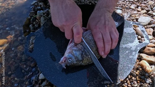 A cook cuts fish outdoors with a knife