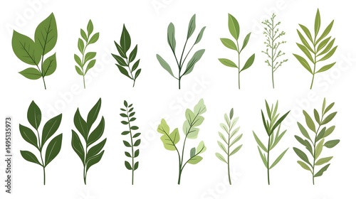 Collection of various stylized plant leaves and branches.