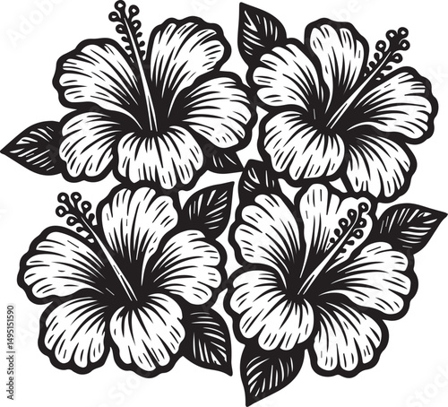 flowers hawaii vector illustration