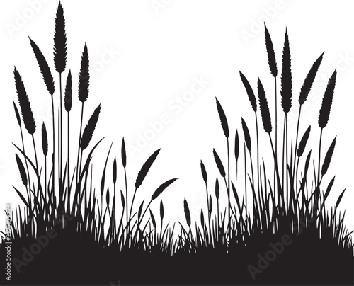 Silhouette illustration of grass and wheat stalks on a white background design
