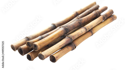 Fresh Bamboo Leaves Isolated on Transparent Background for Design Projects